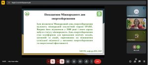 Відбувся семінар "Математика на варті енергозбереження", присвячений Міжнародному дню енергозбереження