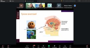 Викладачі кафедри ВМ долучилися до практичного вебінару “Емоційний інтелект в освіті”